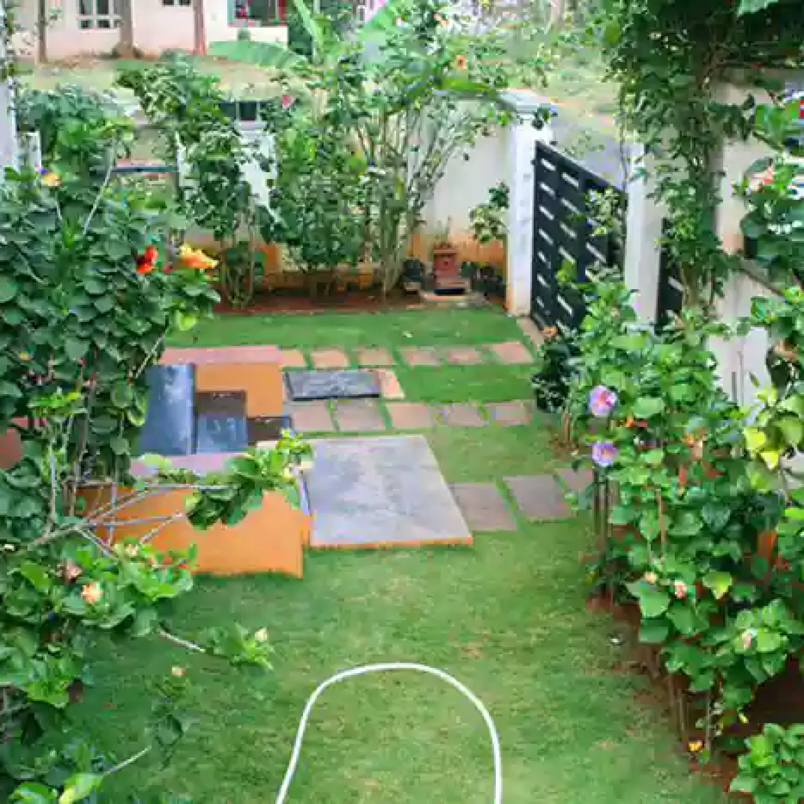 my-garden-space-the-organic-garden-bhoopasandra-bangalore-plant-nurseries-pzjesbvg20